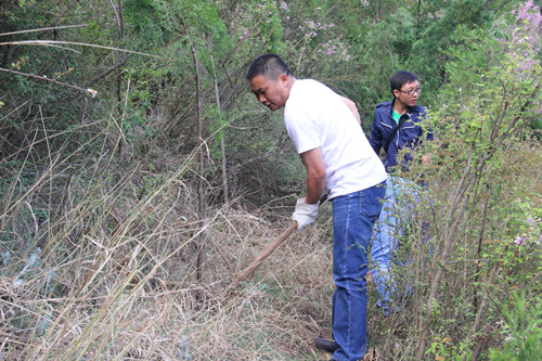 我為黨旗增光輝——公司機(jī)關(guān)黨支部組織開展鋤草促長活動