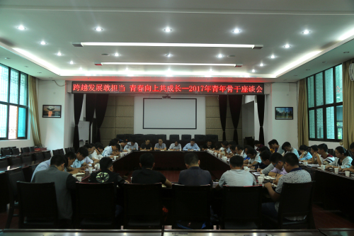 跨越發(fā)展敢擔當，青春向上共成長—公司召開2017年青年骨干座談會