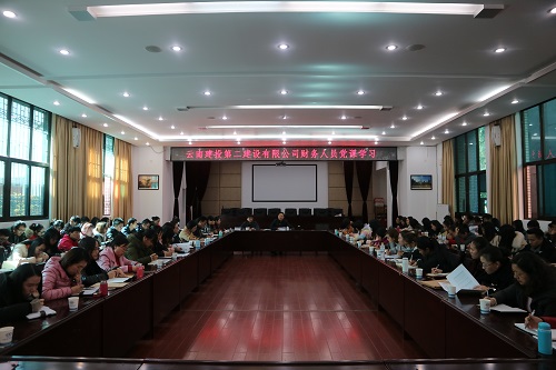 公司舉行財務(wù)人員黨課學(xué)習(xí)暨財務(wù)業(yè)務(wù)會
